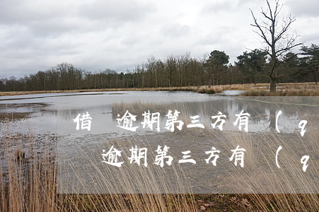 借唄逾期第三方有權(quán)起訴嗎(借唄逾期第三方有權(quán)起訴嗎)
