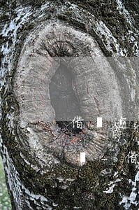 借唄逾期第三方說(shuō)的話是真的嗎-借唄逾期第三方說(shuō)的話是真的嗎嗎