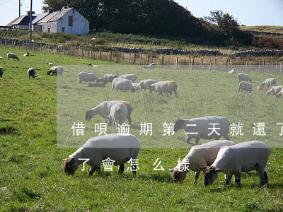 借唄逾期第二天就還了(借唄逾期第二天就還了會怎么樣)