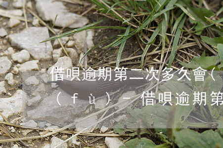 借唄逾期第二次多久會(huì)重新恢復(fù)-借唄逾期第二次多久會(huì)重新恢復(fù)征信