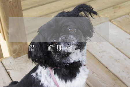 借唄逾期算幾筆