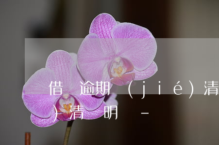 借唄逾期結(jié)清可以開結(jié)清證明嗎-