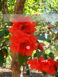 借唄逾期結(jié)清影響信用卡嗎(借唄結(jié)清影響貸款嗎)
