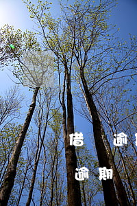 借唄逾期給家人打電話打不通會怎樣-借唄逾期給家人打電話打不通會怎樣處理