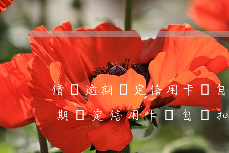 借唄逾期綁定信用卡會自動扣款嗎-借唄逾期綁定信用卡會自動扣款嗎安全嗎