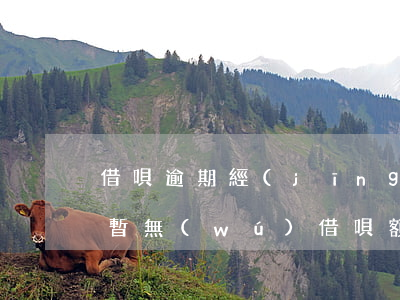 借唄逾期經(jīng)評(píng)估暫無(wú)借唄額(借唄經(jīng)評(píng)估當(dāng)前暫無(wú)借唄額度)