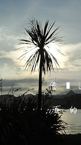 借唄逾期總額包括了罰息嗎(借唄逾期扣了幾百的罰息)
