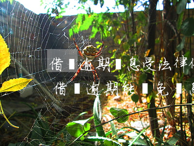 借唄逾期罰息受法律保護(hù)嗎(支付寶借唄逾期能減免罰息)