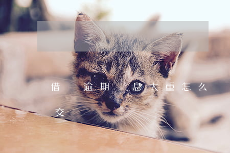 借唄逾期罰息太重怎么辦(借唄逾期罰款怎么交)