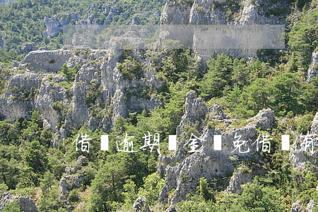 借唄逾期罰金減免（借唄有逾期減免嗎）