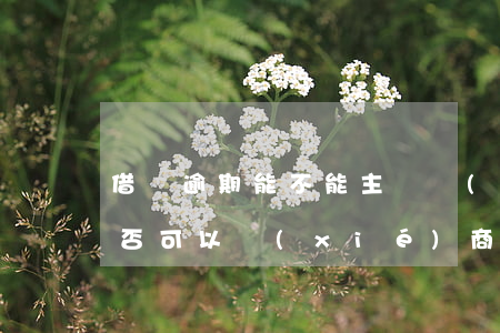 借唄逾期能不能主動協(xié)商(借唄是否可以協(xié)商還款)