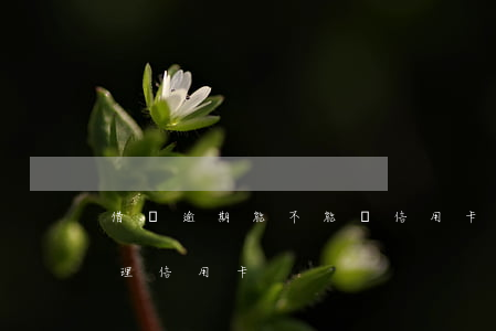 借唄逾期能不能辦信用卡嗎(借唄逾期可以辦理信用卡)