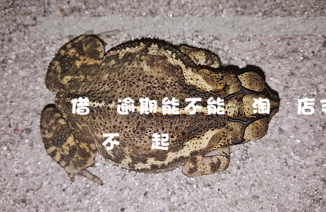 借唄逾期能不能開淘寶店(支付寶借唄逾期了會不會起訴)