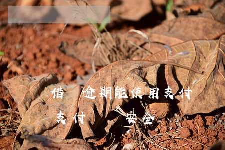 借唄逾期能使用支付寶嗎-借唄逾期能使用支付寶嗎安全嗎