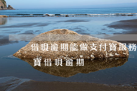 借唄逾期能做支付寶服務(wù)商嗎(支付寶借唄逾期)