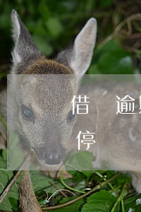 借唄逾期能停止收利息嗎(借唄逾期幾天會被停)