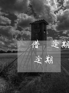 借唄逾期能協(xié)商分期還款嗎(借唄逾期協(xié)商可以分多少期)