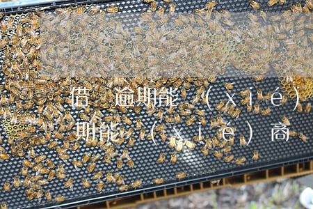 借唄逾期能協(xié)商處理本金(借唄逾期能協(xié)商處理本金)