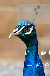 借唄逾期能否先還一部分(借唄到期可以先還一部分嗎)