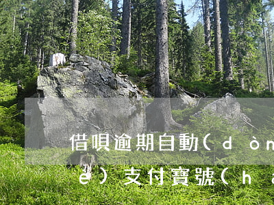 借唄逾期自動(dòng)扣款換一個(gè)支付寶號(hào)-借唄逾期自動(dòng)扣款換一個(gè)支付寶號(hào)可以嗎