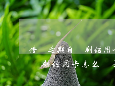 借唄逾期自動刷信用卡怎么辦-借唄逾期自動刷信用卡怎么辦理