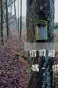 借唄逾期自動扣已經(jīng)解綁的卡嗎-借唄逾期自動扣已經(jīng)解綁的卡嗎怎么辦