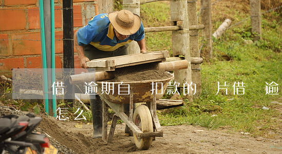 借唄逾期自動扣款的圖片(借唄逾期自動扣款怎么辦)