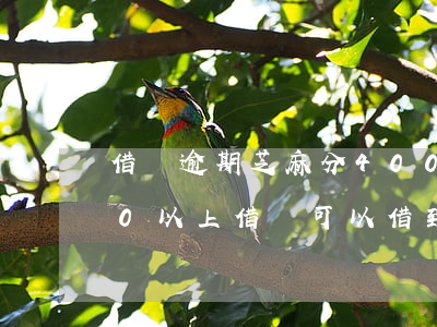 借唄逾期芝麻分400分(支付寶芝麻分500以上借唄可以借到多少錢(qián))