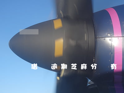 借唄逾期芝麻分會有嗎(借唄逾期會掉分嗎)