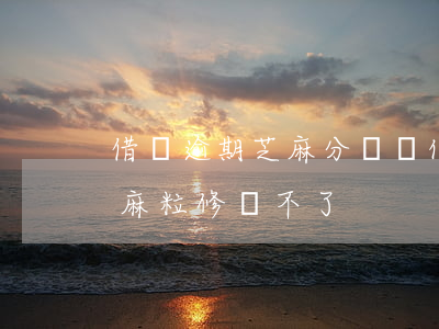 借唄逾期芝麻分沒變化(借唄逾期一天怎么芝麻粒修復不了)