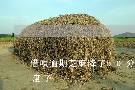 借唄逾期芝麻降了50分(借唄逾期2天降額度了)