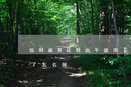 借唄逾期花唄也不能用了(借唄逾期不能使用了怎么辦)