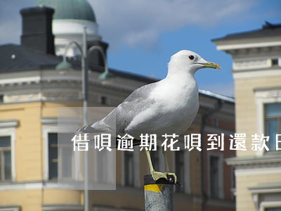 借唄逾期花唄到還款日如何還款-