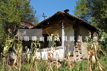 借唄逾期花唄就還不進去了(借唄逾期還不進去了,怎么辦?)