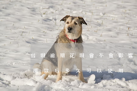 借唄逾期花唄會不會影響(借唄逾期影響花唄,還款后多久可以使用)