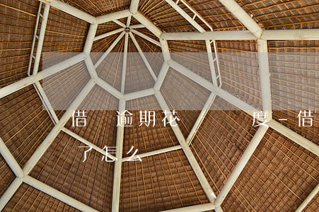 借唄逾期 花唄給額度-借唄逾期 花唄給額度了怎么辦