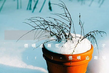 借唄逾期花唄被封多久才會(huì)恢復(fù)-借唄逾期導(dǎo)致花唄凍結(jié)了多久能恢復(fù)?