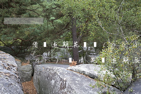 借唄逾期花唄關(guān)了多久開(kāi)(還清花唄逾期后多長(zhǎng)時(shí)間可以使用借唄)