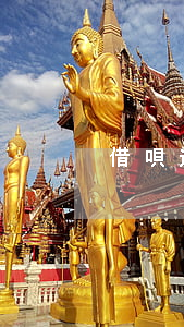 借唄逾期被人降額怎么辦(借唄被降額度)