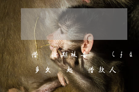 借唄逾期被告會發(fā)短信嗎(借唄逾期多久會起訴借款人?)