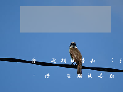 借唄逾期被告知發(fā)短信有什么后果-借唄逾期被告知發(fā)短信有什么后果嗎