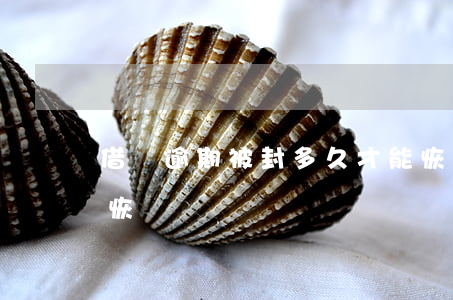 借唄逾期被封多久才能恢復(借唄封了多久能恢復)