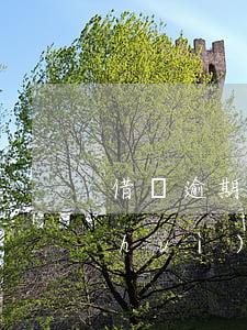 借唄逾期被拉黑還能用嗎(欠支付寶借唄會(huì)被拉黑多久?)