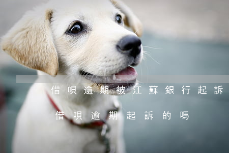 借唄逾期被江蘇銀行起訴了(有被支付寶花唄借唄逾期起訴的嗎?)