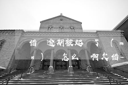 借唄逾期被起訴了沒(méi)錢(qián)還怎么辦啊 欠借唄錢(qián)被起訴了,但是真的沒(méi)錢(qián)還怎么辦
