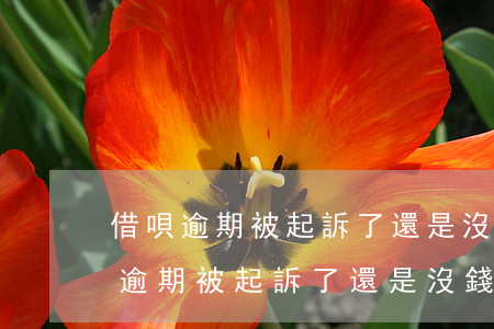 借唄逾期被起訴了還是沒錢還怎么辦-借唄逾期被起訴了還是沒錢還怎么辦呢