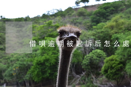 借唄逾期被起訴后怎么處理