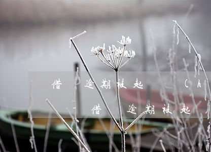 借唄逾期被起訴會(huì)有哪些不利影響-借唄逾期被起訴會(huì)有哪些不利影響呢