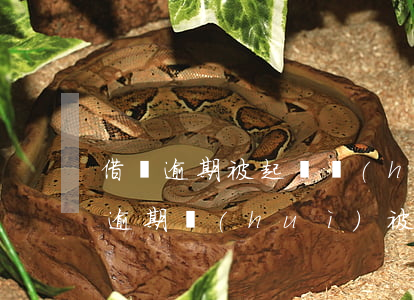借唄逾期被起訴會(huì)有案底嗎(借唄逾期會(huì)被上訴)