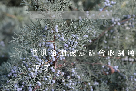 借唄逾期被起訴會收到通知(借唄逾期了被起訴了)